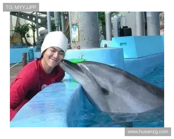 《海豚爱上猫》：一段跨越物种的温柔告白，触动心底最柔软的角落