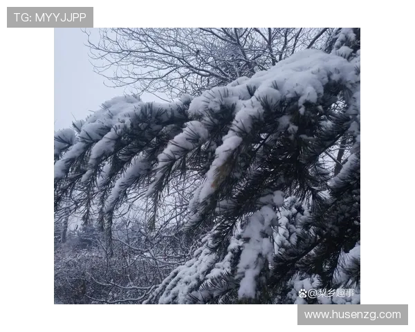 七日轮回：在时间的洪流中，邂逅一场生命奇遇