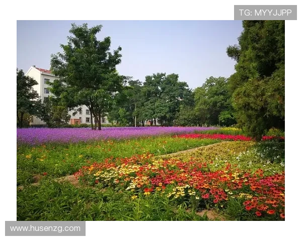 《麻辣女兵》：飒爽英姿，巾帼不让须眉的绿色青春